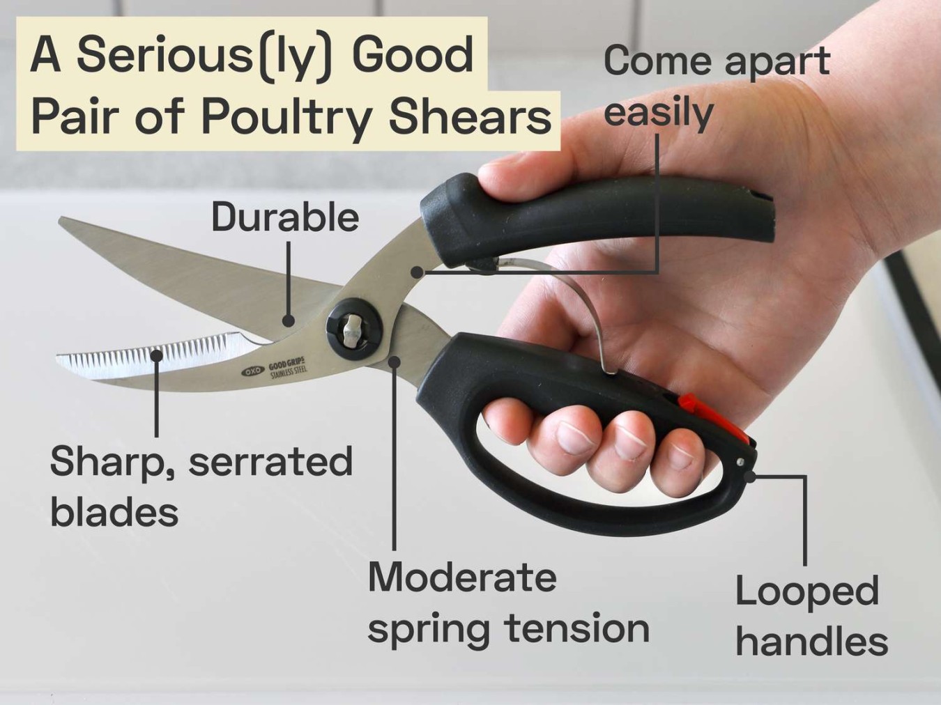 image.title The  Best Poultry Shears of 04, Tested & Reviewed image